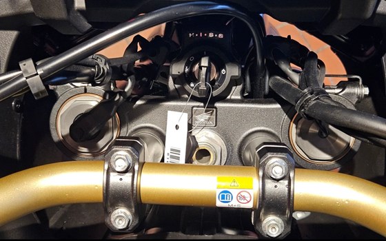 Neufahrzeug Honda CRF1100L Africa Twin Adventure Sports - Bild 11