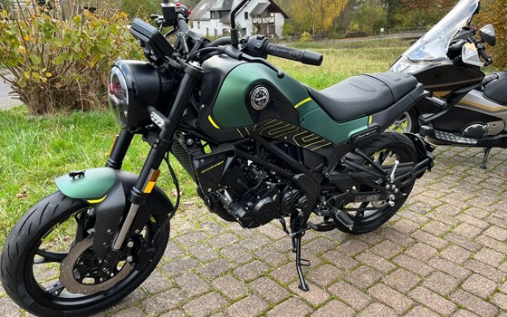 Neufahrzeug Benelli Leoncino 125 - Bild 1