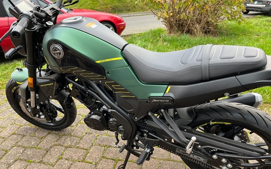Neufahrzeug Benelli Leoncino 125 - Bild 2