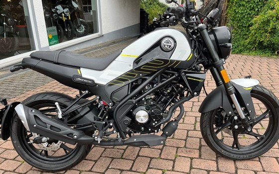 Neufahrzeug Benelli Leoncino 125 - Bild 4