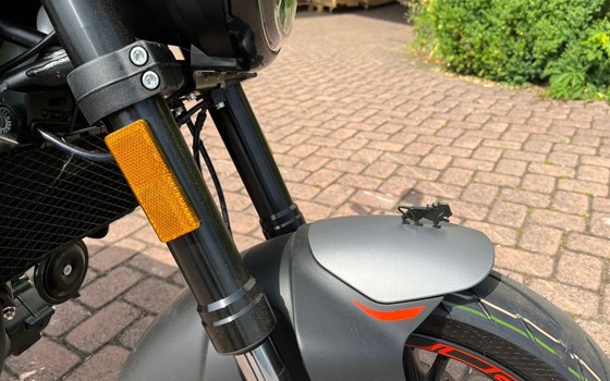 Neufahrzeug Benelli Leoncino 125 - Bild 9