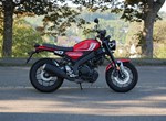 Angebot Yamaha XSR125