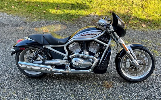 Gebrauchtmotorrad Harley-Davidson V-Rod Street Rod VRSCR - Bild 5