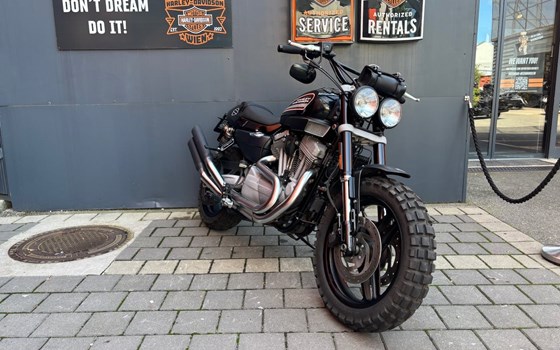 Gebrauchtmotorrad Harley-Davidson Sportster XR 1200 - Bild 1 Gebrauchtmotorrad Harley-Davidson Sportster XR 1200 - Bild 1