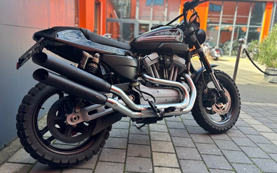 Gebrauchtmotorrad Harley-Davidson Sportster XR 1200 - Bild 3 Gebrauchtmotorrad Harley-Davidson Sportster XR 1200 - Bild 3