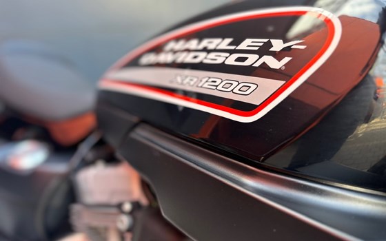 Gebrauchtmotorrad Harley-Davidson Sportster XR 1200 - Bild 6 Gebrauchtmotorrad Harley-Davidson Sportster XR 1200 - Bild 6
