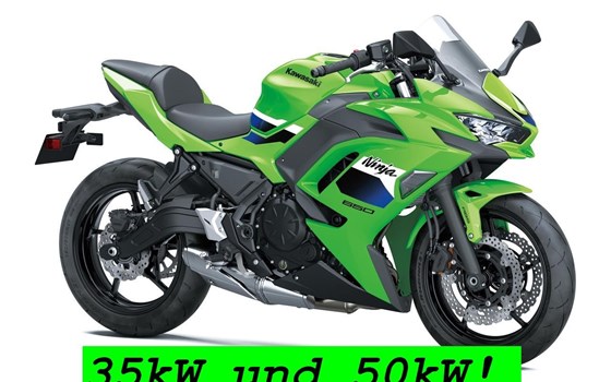 Offerta Kawasaki Ninja 650 KRT - Immagine 1