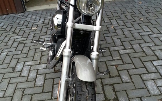Gebrauchtmotorrad Harley-Davidson Sportster XL 1200 R Roadster - Bild 3
