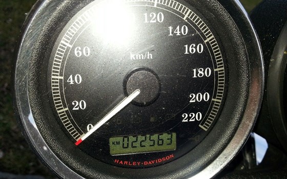 Gebrauchtmotorrad Harley-Davidson Sportster XL 1200 R Roadster - Bild 4