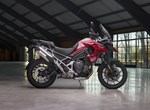 Angebot Triumph Tiger 1200 GT PRO