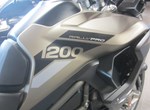 Angebot Triumph Tiger 1200 Rally PRO