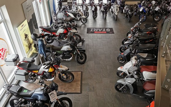 Neufahrzeug Kymco Xciting 500i - Bild 9