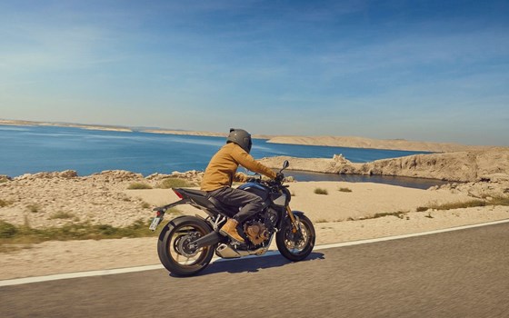 Neufahrzeug Honda CB650R E-Clutch - Bild 7