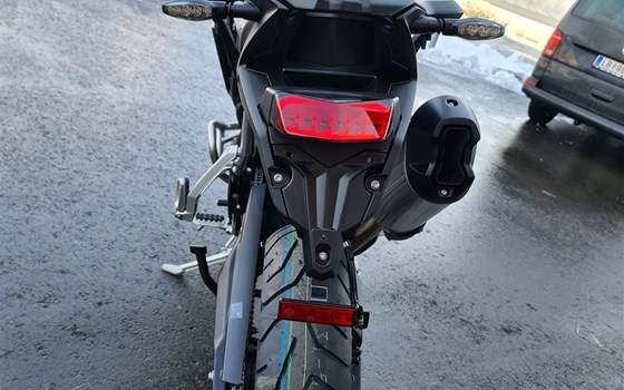 Neufahrzeug Triumph Tiger 900 Rally Pro - Bild 4 Neufahrzeug Triumph Tiger 900 Rally Pro - Bild 4