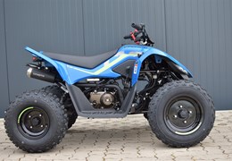 Neumotorrad CFMOTO CForce 110