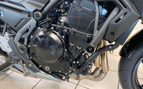 Neufahrzeug Kawasaki Z650 - Bild 5