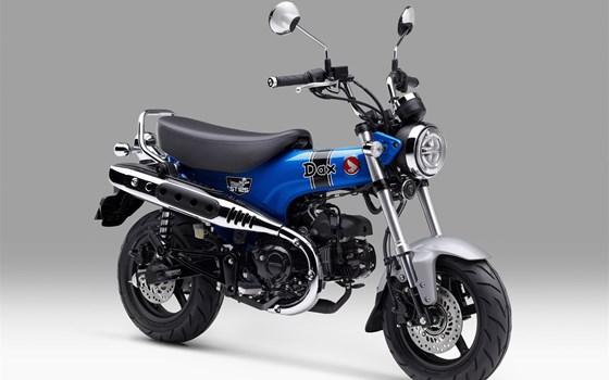 Neufahrzeug Honda Dax 125 - Bild 1 Neufahrzeug Honda Dax 125 - Bild 1