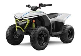 Neumotorrad CFMOTO CForce 110