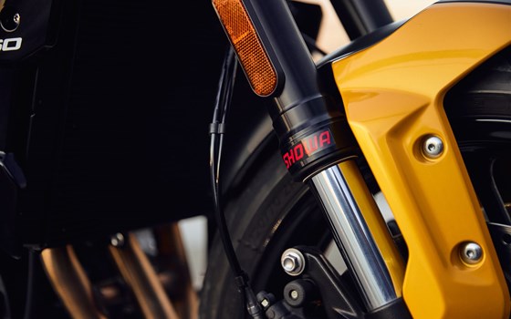 Neufahrzeug Triumph Trident 660 - Bild 5