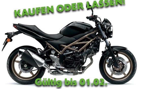 Neufahrzeug Suzuki SV650 - Bild 1