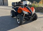 Angebot Arctic Cat XC 450i