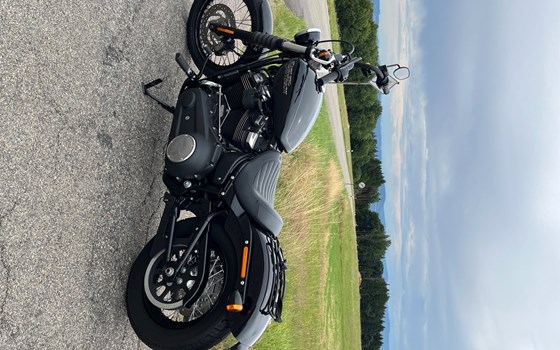 Gebrauchtmotorrad Harley-Davidson Softail Street Bob FXBB - Bild 1