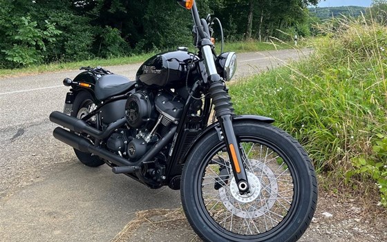 Gebrauchtmotorrad Harley-Davidson Softail Street Bob FXBB - Bild 4