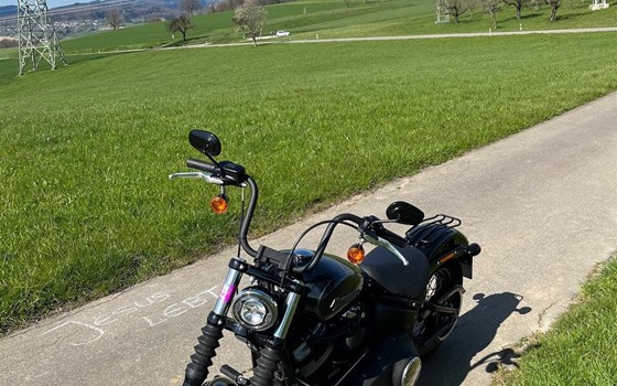 Gebrauchtmotorrad Harley-Davidson Softail Street Bob FXBB - Bild 7