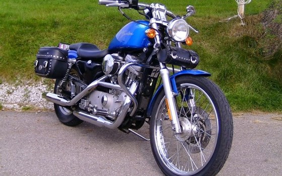 Gebrauchtmotorrad Harley-Davidson Sportster XL 883 C Custom - Bild 1