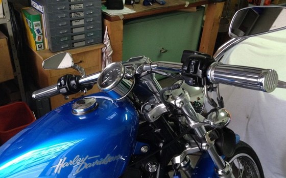 Gebrauchtmotorrad Harley-Davidson Sportster XL 883 C Custom - Bild 7