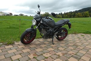 Angebot Suzuki SV 650