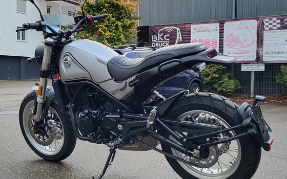 Neufahrzeug Benelli Leoncino 500 Trail - Bild 6