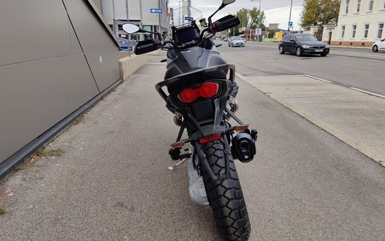 Neufahrzeug Moto Guzzi Stelvio PFF - Bild 5