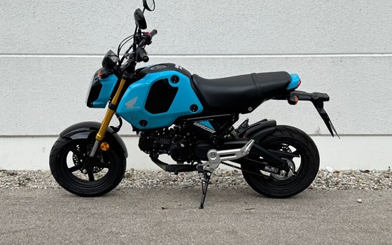 Neufahrzeug Honda MSX125 Grom - Bild 1