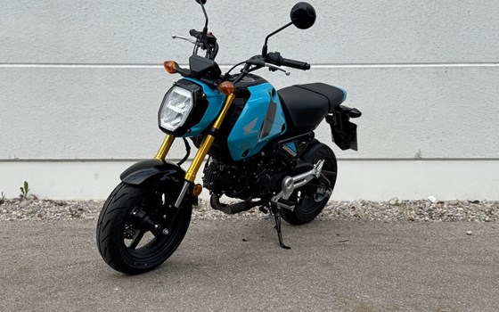 Neufahrzeug Honda MSX125 Grom - Bild 2