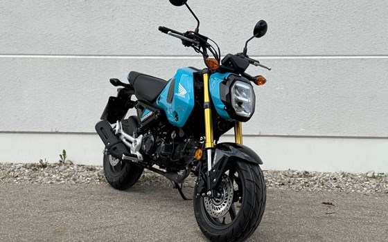 Neufahrzeug Honda MSX125 Grom - Bild 4
