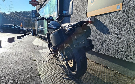 Gebrauchtmotorrad Harley-Davidson Sportster XR 1200R - Bild 7 Gebrauchtmotorrad Harley-Davidson Sportster XR 1200R - Bild 7