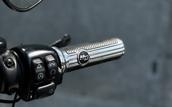 Gebrauchtmotorrad Harley-Davidson Softail Low Rider FXLR - Bild 14 Gebrauchtmotorrad Harley-Davidson Softail Low Rider FXLR - Bild 14