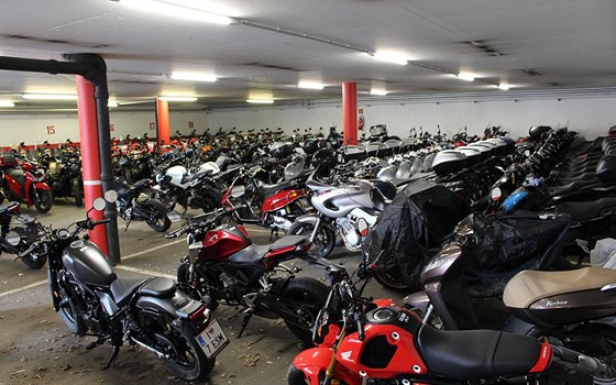 Neufahrzeug Honda ADV350 - Bild 6