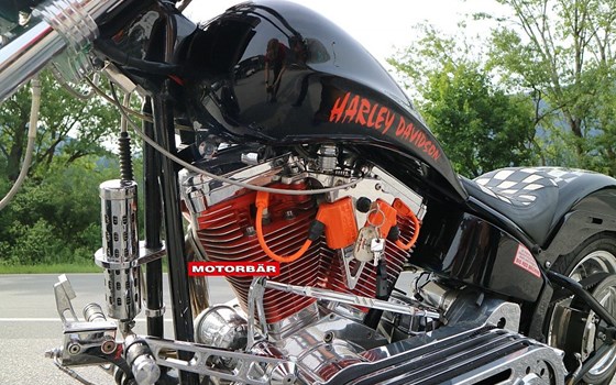 Gebrauchtmotorrad Harley-Davidson Softail Custom FXSTC - Bild 5 Gebrauchtmotorrad Harley-Davidson Softail Custom FXSTC - Bild 5
