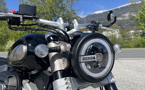 Neufahrzeug Benda Chinchilla 300 - Bild 5