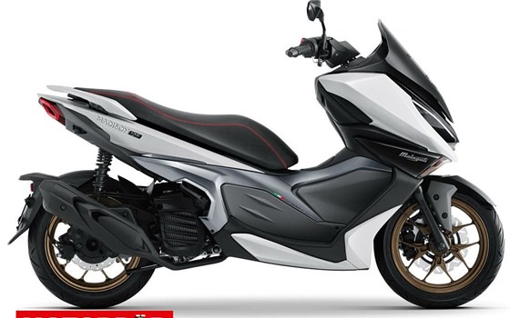 Neufahrzeug Malaguti Madison 125 - Bild 2 Neufahrzeug Malaguti Madison 125 - Bild 2