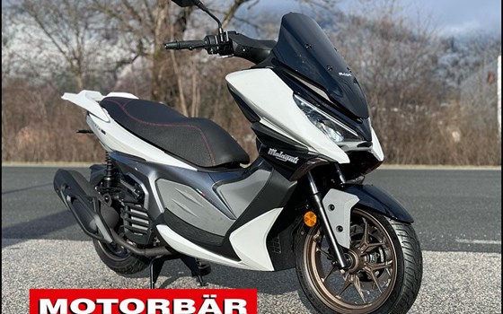 Neufahrzeug Malaguti Madison 125 - Bild 1