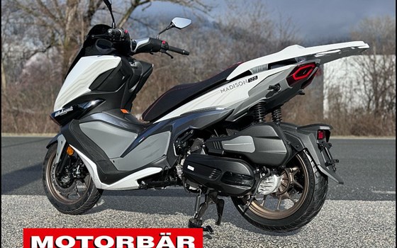 Neufahrzeug Malaguti Madison 125 - Bild 2