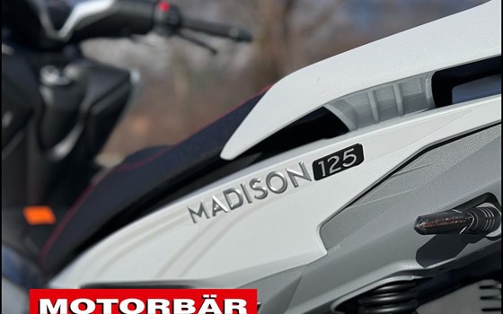 Neufahrzeug Malaguti Madison 125 - Bild 7