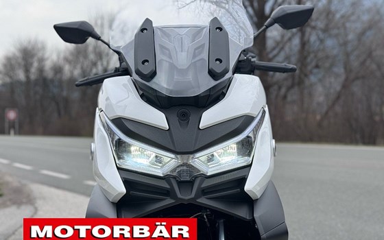 Neufahrzeug Voge SR4 350i ABS - Bild 13