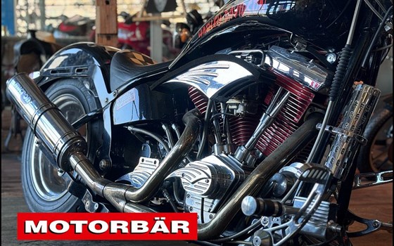 Gebrauchtmotorrad Harley-Davidson Softail Custom FXSTC - Bild 3 Gebrauchtmotorrad Harley-Davidson Softail Custom FXSTC - Bild 3