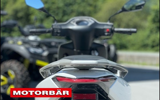Neufahrzeug Motron Ventura 125 - Bild 7