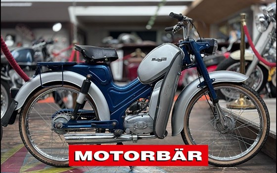 Gebrauchtmotorrad Malaguti Madison 300 - Bild 1