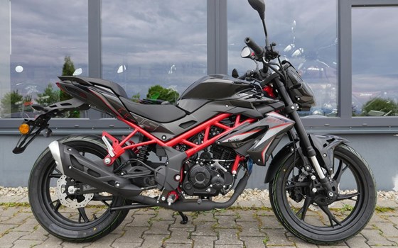 Neufahrzeug Benelli BN 125 - Bild 2